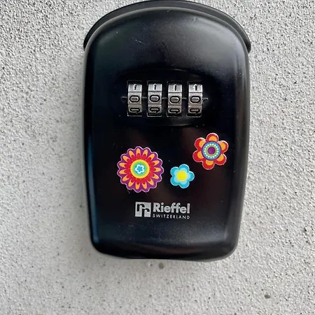 1912 - Flowers - Budget For Young Guest house Locarno