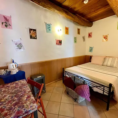 1912 - Flowers - Budget For Young Guest house 3*