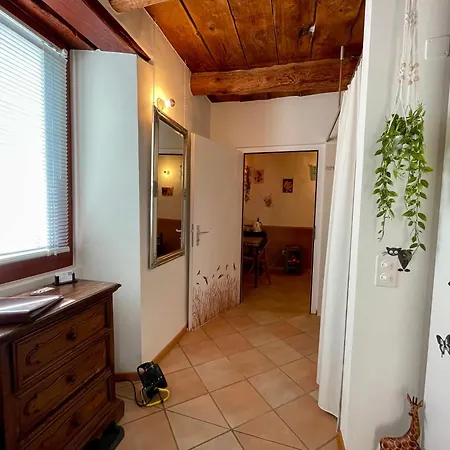 1912 - Flowers - Budget For Young Maison d'hôtes Locarno