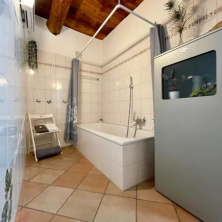 1912 - Flowers - Budget For Young 3* Locarno