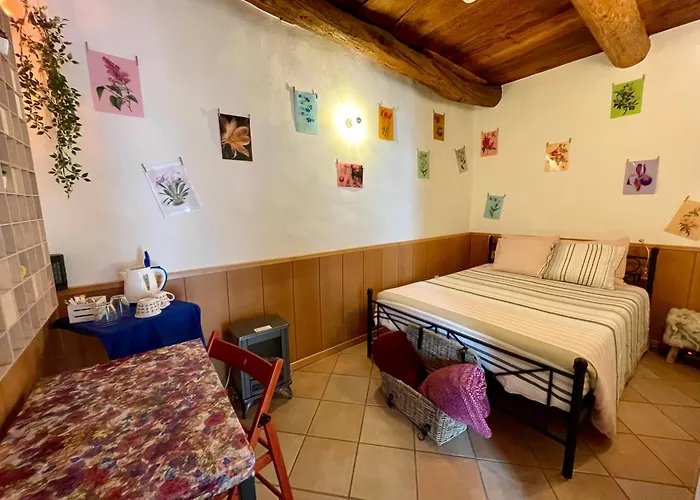 1912 - Flowers - Budget For Young Guest house 3*