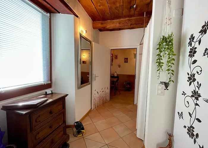 1912 - Flowers - Budget For Young Guest house Locarno