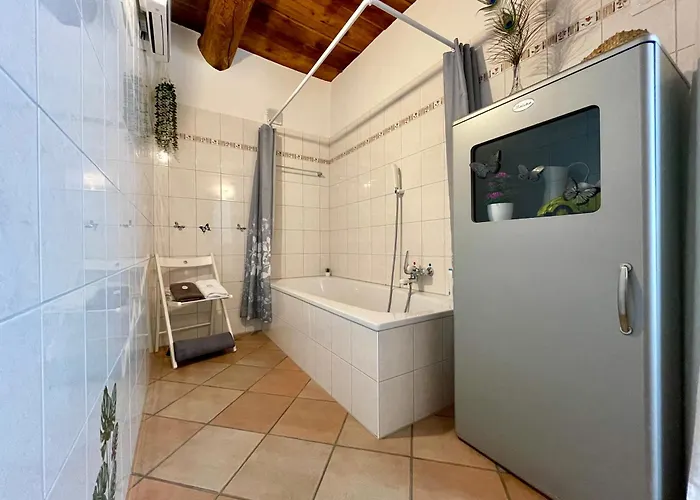 1912 - Flowers - Budget For Young 3* Locarno