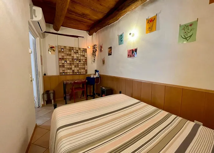 1912 - Flowers - Budget For Young Guest house Locarno