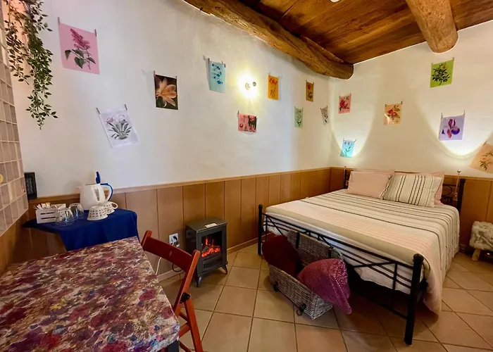 1912 - Flowers - Budget For Young Guest house