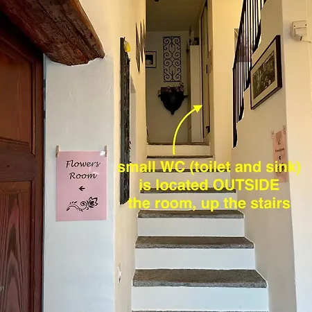 1912 - Flowers - Budget For Young